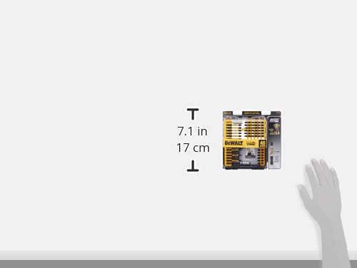 DEWALT Screwdriver Bit Set with Tough Case, 45-Piece (DW2166),Grey/Silver Screwdriving Set With Tough Case
